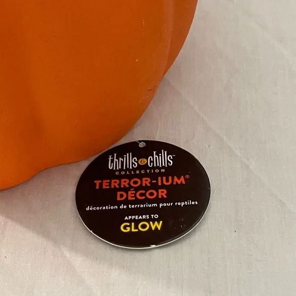 Pumpkin Decor for pet enclosure - Picture 2 of 4